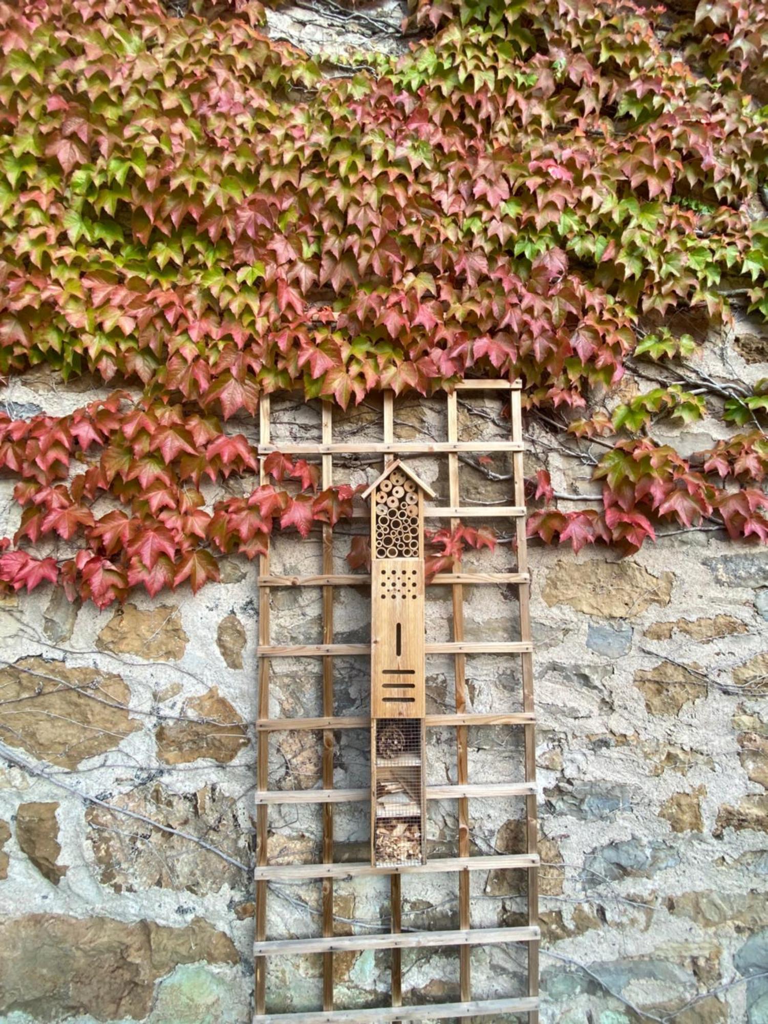 Les Caselles, Gite Et Maison D'Hotes Saint-Beauzely Luaran gambar